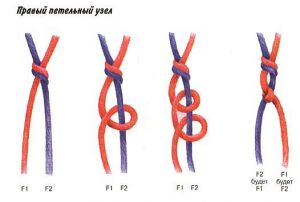Fenechka05.jpg