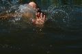 Миниатюра для версии от 12:42, 25 июня 2026