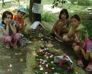 Liliput001.jpg
