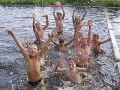 Миниатюра для версии от 12:24, 25 июня 2026