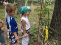 Миниатюра для версии от 13:55, 25 июня 2026