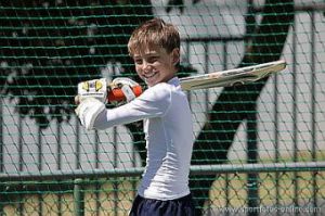 Cricket 02 sizedm.jpg