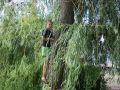 Миниатюра для версии от 23:03, 24 июня 2026