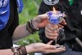 Миниатюра для версии от 12:41, 25 июня 2026