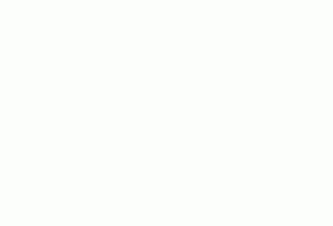 Sh25 3.gif