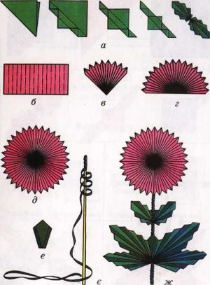 Ppr005.jpg