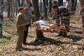 Миниатюра для версии от 14:02, 25 июня 2026