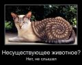 Миниатюра для версии от 13:50, 25 июня 2026