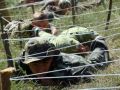 Миниатюра для версии от 11:52, 25 июня 2026
