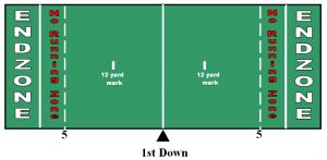 Field.jpg