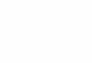 Ris-1fiz.gif